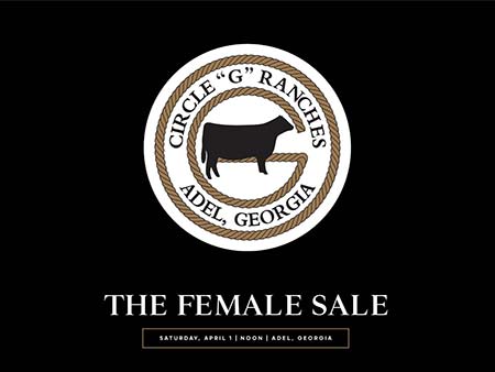 sale book thumbnail