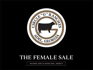 sale book thumbnail