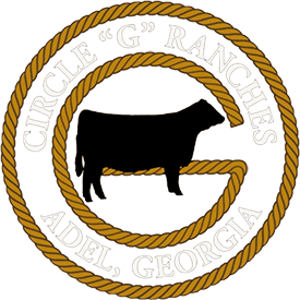 Circle G Ranches
